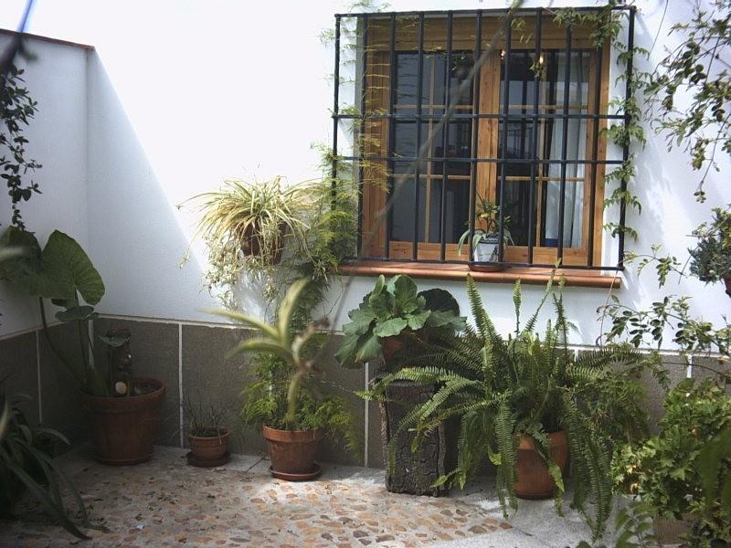 Casa Rural La Brena Talaván Buitenkant foto