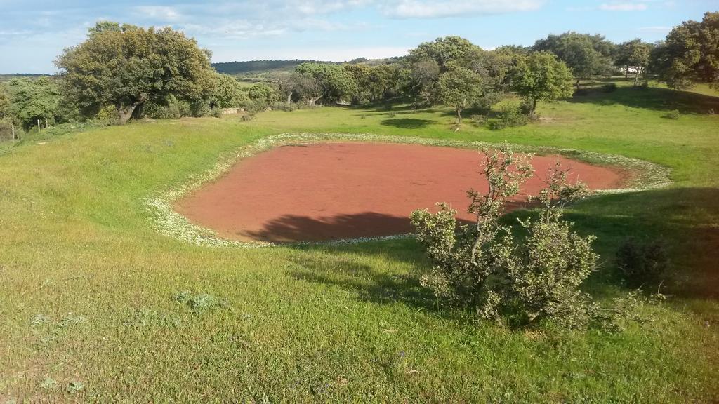 Casa Rural La Brena Talaván Buitenkant foto